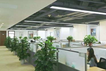 中国 Beijing Xingyuyang Trading Co., Ltd.